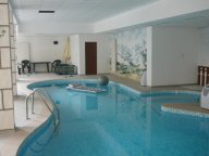 Top Lodge Swimming Pool